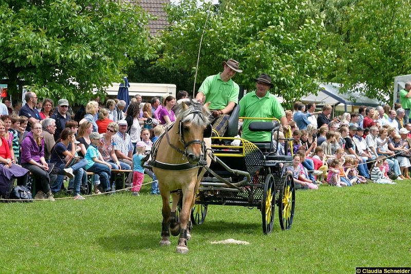 Ponytag Bosbach 2012-004.jpg